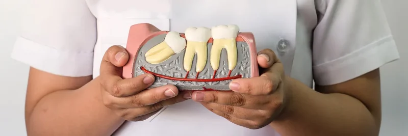 Stanley Dental Chair